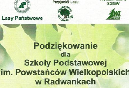 Rozstrzygnięcie konkursu "Czysty las".
